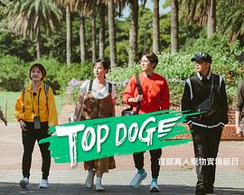 五一吃瓜最新官网《TOP DOG》免费在线观看