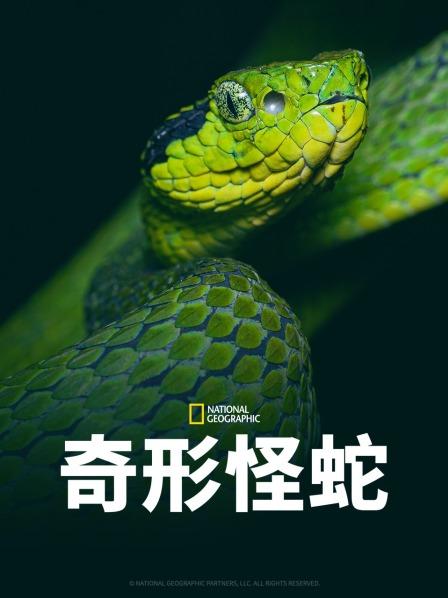 亚洲色吧《奇形怪蛇》免费在线观看